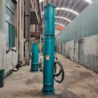 Bottom Suction Electric Submersible Pump Engineered for High Head Drainage and Low-Level Water Extraction