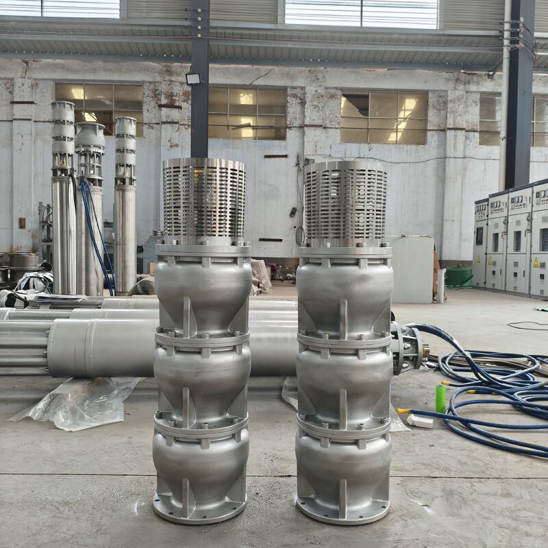 6 pouces en acier inoxydable 2205 pompe submersible à puits profonds avec 15 m3/h débit et 180m tête