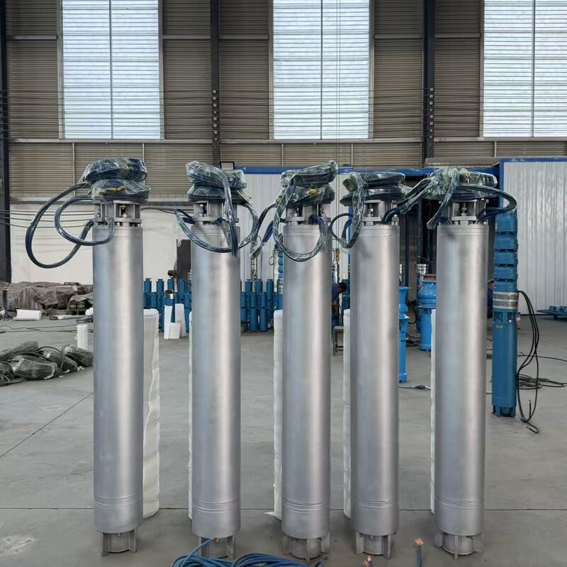 Pompes submersibles d'eau de mer en acier inoxydable avec conception haute tête à plusieurs étages et configurations personnalisables