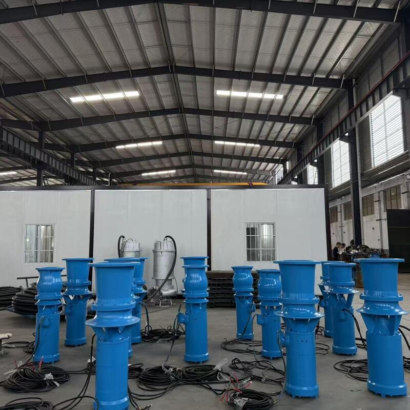 Pompe à débit axiale submersible de 45 kW avec débit de 1300 m3/h et tête de 8 m pour drainage à débit élevé