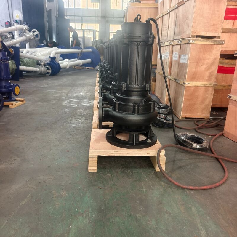100WQ80-20-7.5kW Pompe submersible eaux usées avec débit 80m³/h, hauteur manométrique 20m et moteur 7.5kW pour drainage eaux usées