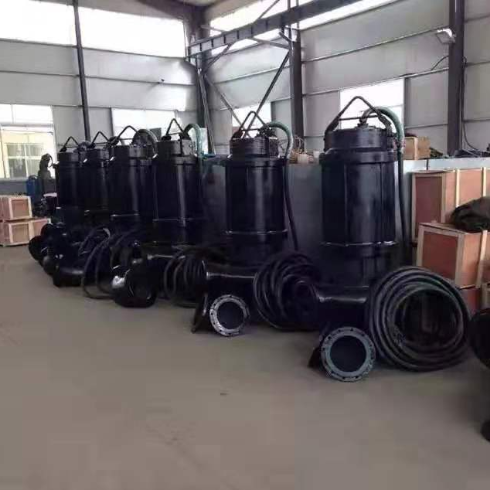 Pompe à lisier submersible de 15 kW avec sortie de décharge DN100 et alliage à haute teneur en chrome pour le traitement des lisiers abrasifs