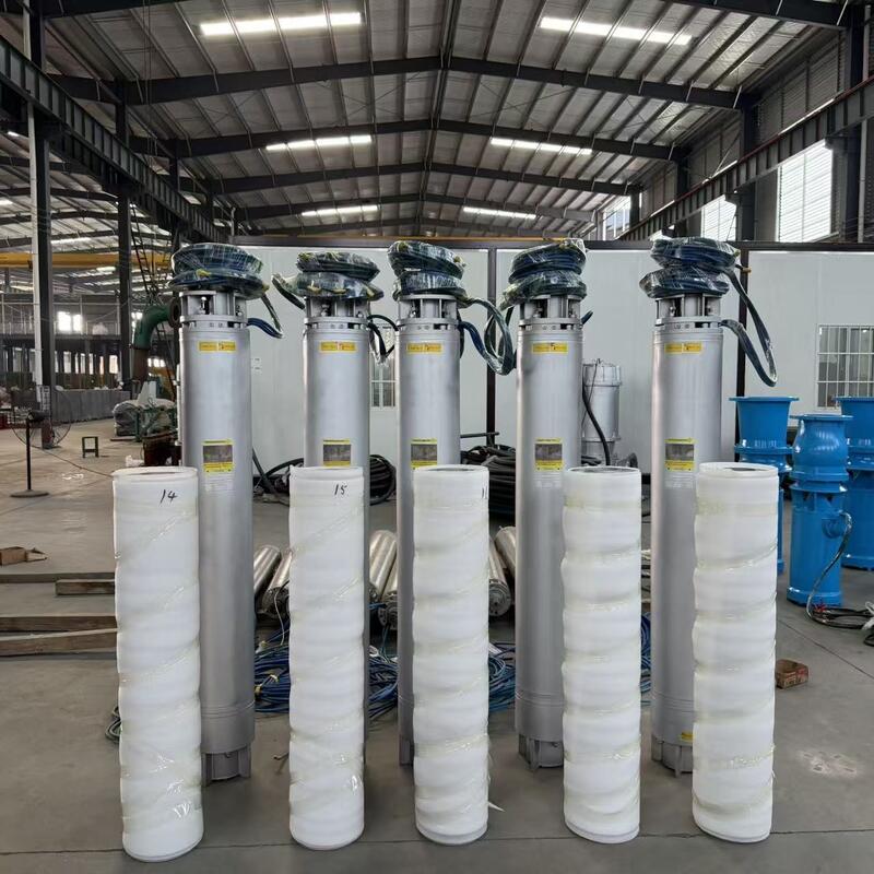 Pompe submersible en acier inoxydable 110 kW Pompe pour puits profonds à haute pression pour le transfert d'eau