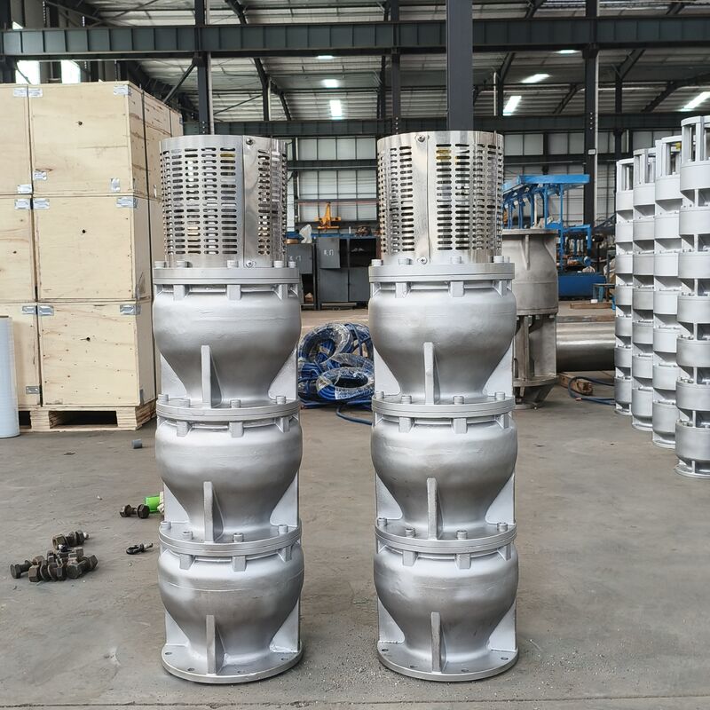 525 m3/h Débit 350 m Tête 1000 kW Puissance Pompes à eau de mer submersibles en acier inoxydable