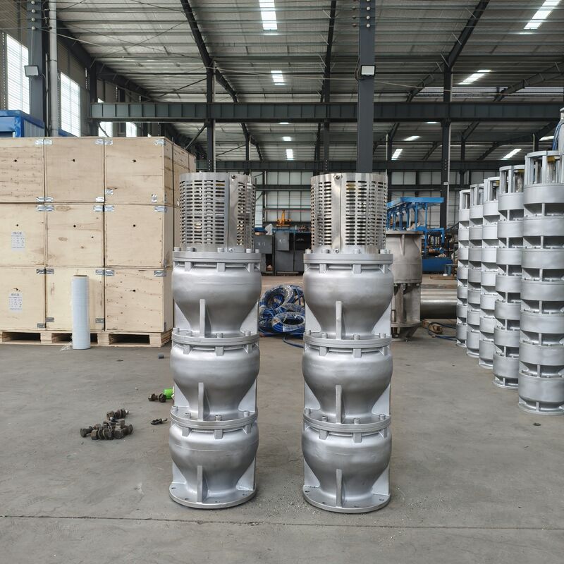 525 m3/h Débit 350 m Tête 1000 kW Puissance Pompes à eau de mer submersibles en acier inoxydable