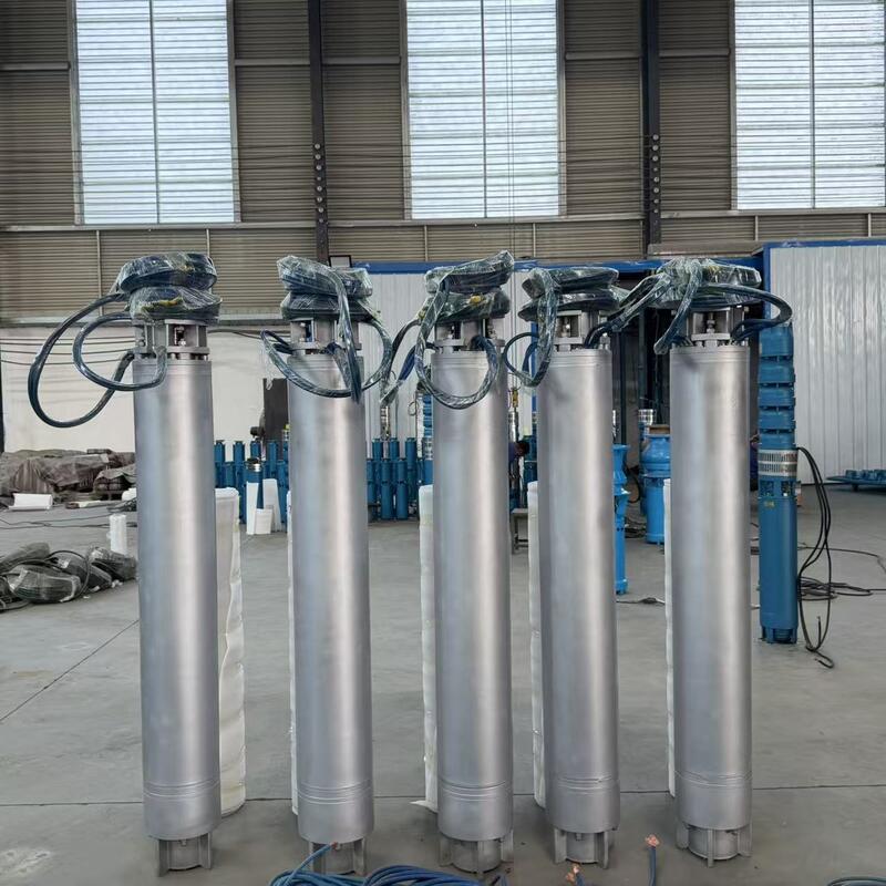Pompe submersible en acier inoxydable de 75 KW pour eau de mer avec un débit de 300 m3/h pour applications en puits profonds