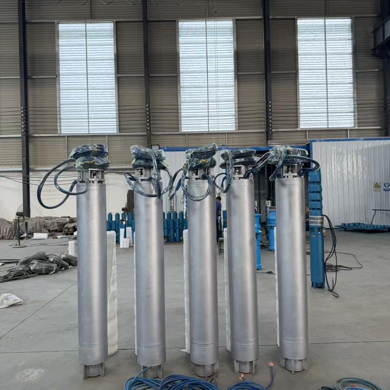 Pompe submersible en acier inoxydable de 75 KW pour eau de mer avec un débit de 300 m3/h pour applications en puits profonds