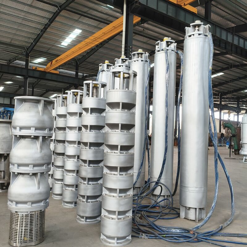 Pompe submersible en acier inoxydable de 75 KW pour eau de mer avec un débit de 300 m3/h pour applications en puits profonds