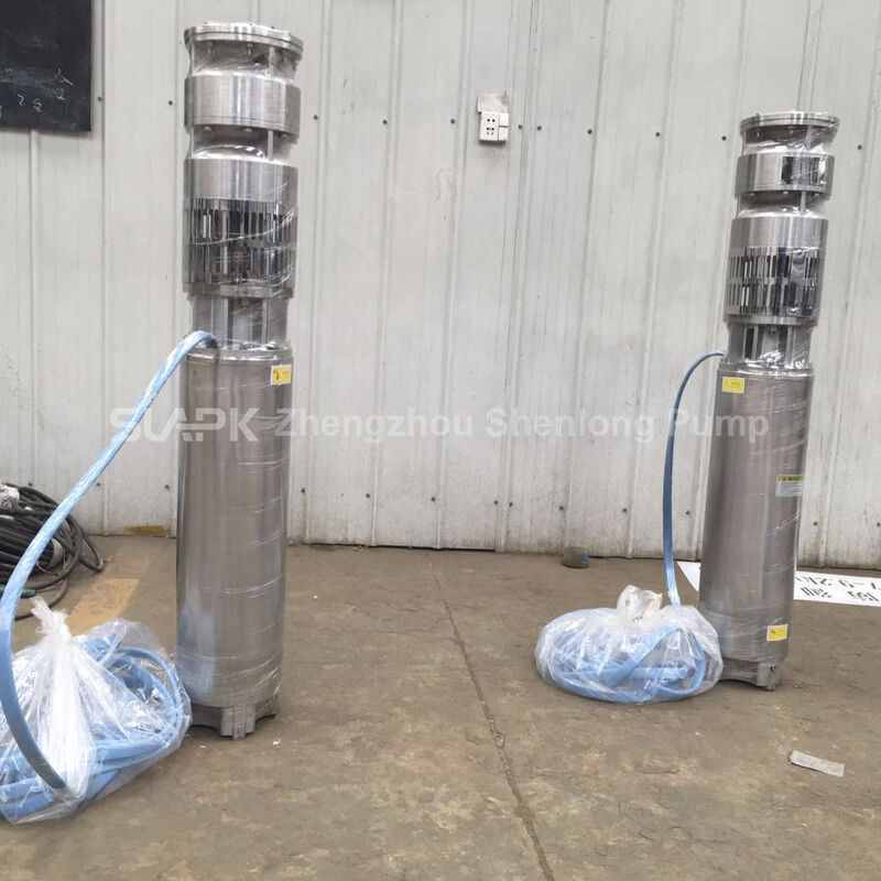 Pompes de puits submersibles en acier inoxydable de 55 kW avec débit de 40 m3/h pour les applications de puits profonds