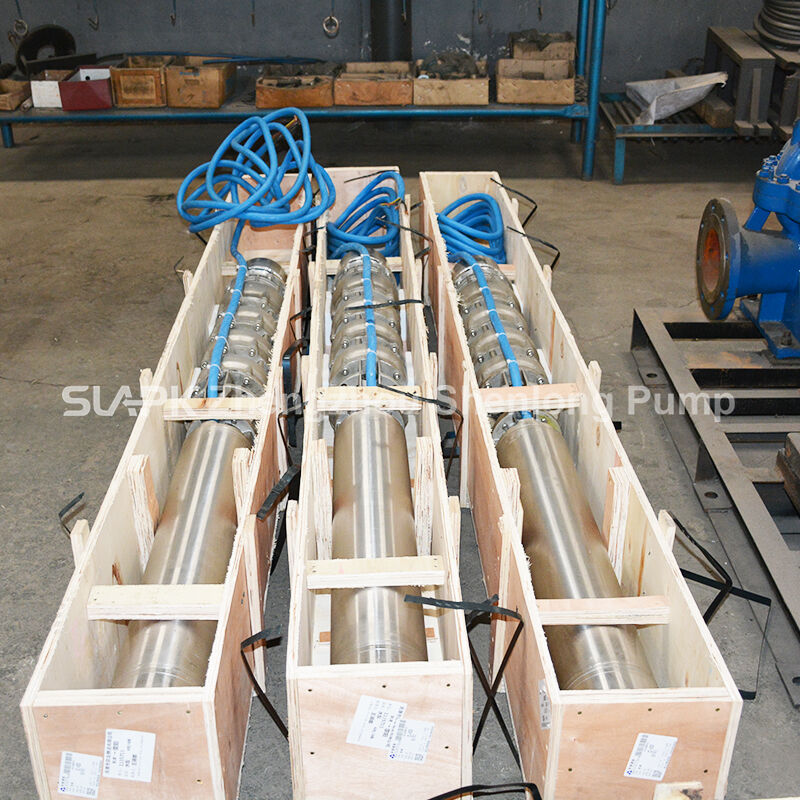 Pompe submersible pour puits profonds à haut débit de 300 m³/h, hauteur manométrique de 100 m, moteur de 140 kW, pour applications en eau de mer