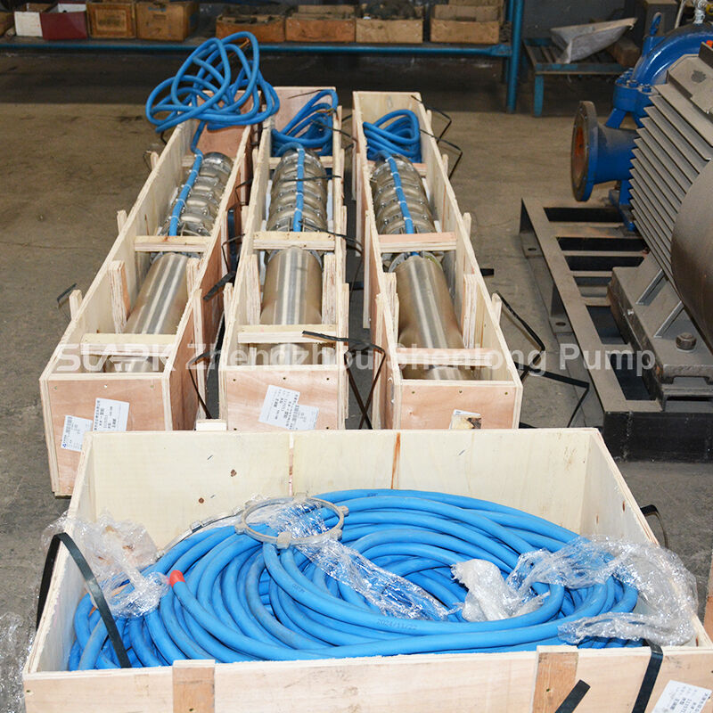 Pompe submersible pour puits profonds à haut débit de 300 m³/h, hauteur manométrique de 100 m, moteur de 140 kW, pour applications en eau de mer