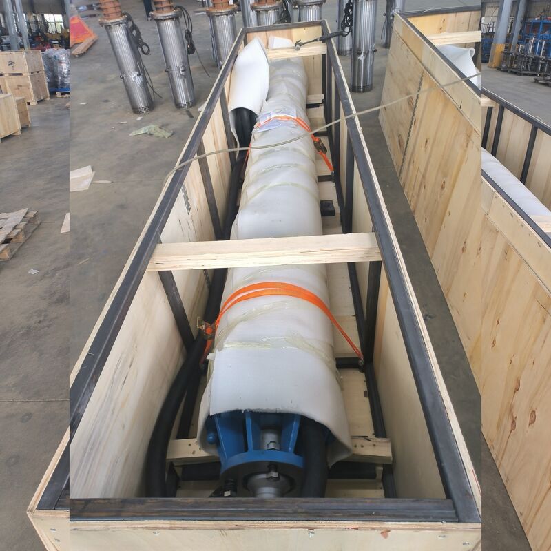 Pompe à eau submersible à haute tension de 300 kW pour le déshydratage des mines de bauxite avec des impulseurs en acier inoxydable