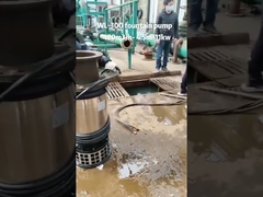 Pompes de fontaine de drainage à grand débit série WLT