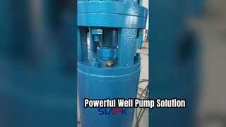 Pompe de puits submersible en fonte